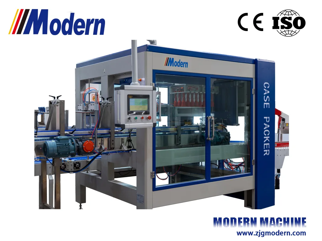 Automatic Case Packer view 5
